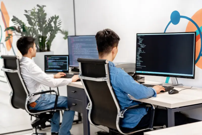 types of web development