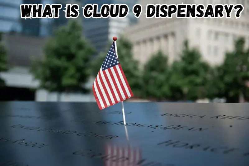 What Is Cloud 9 Dispensary?
