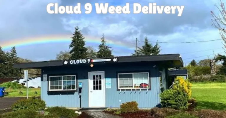 Cloud 9 Weed Delivery: What the Search Term Means in a Technology Context cloud 9 weed delivery